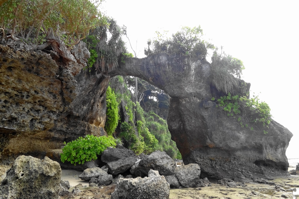 Coral Bridge