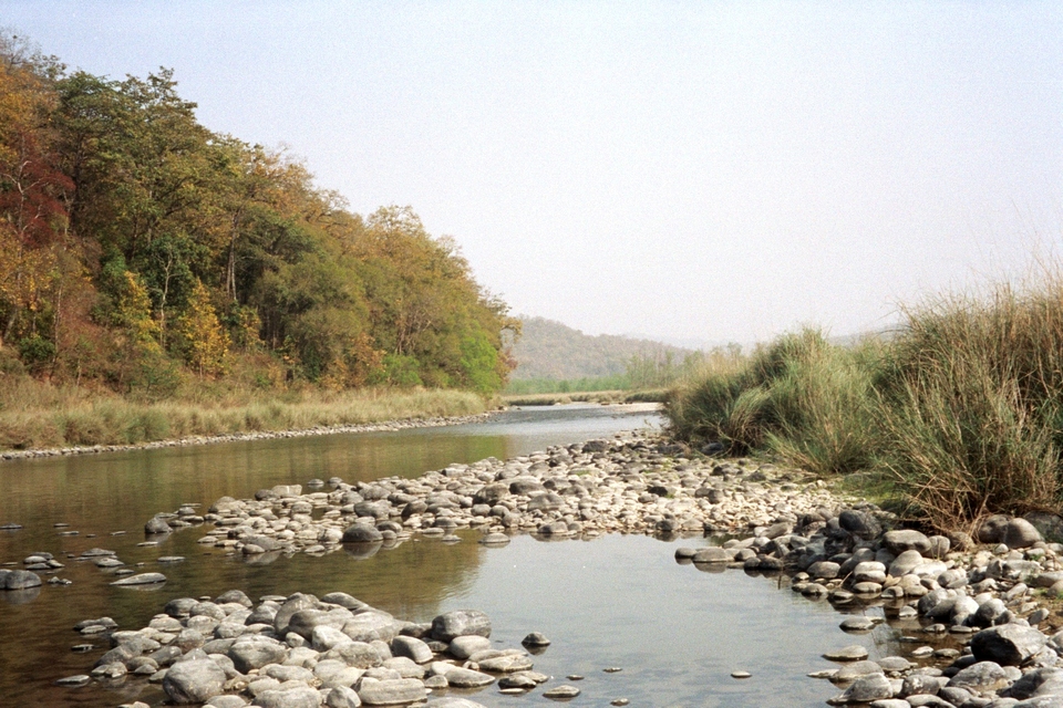 Corbett National Park river