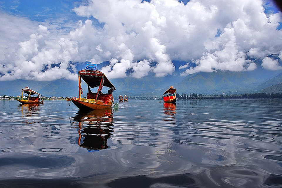 Dal Lake and Shikaras