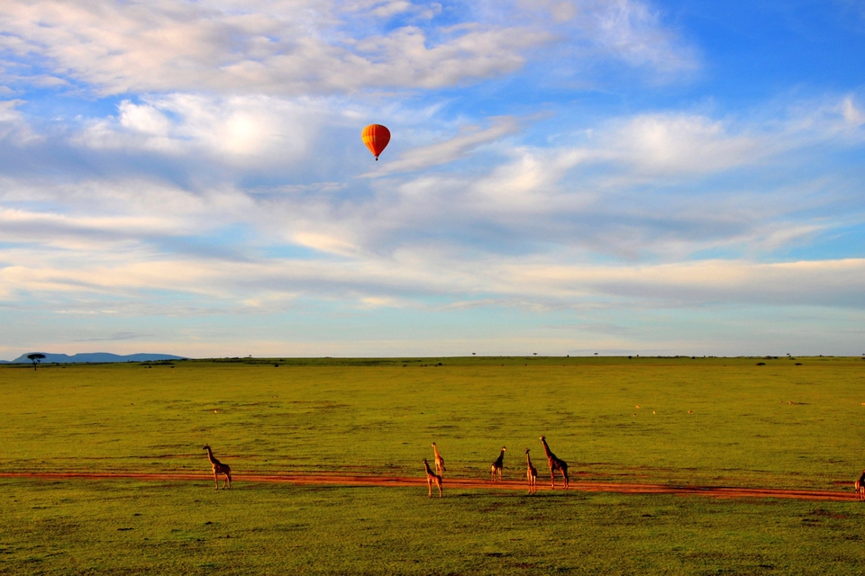 Hot- Air Balloon Safari - Maasai Mara