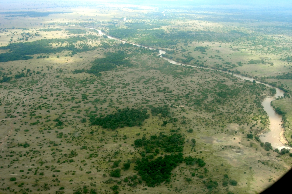 Mara River Massai Mara