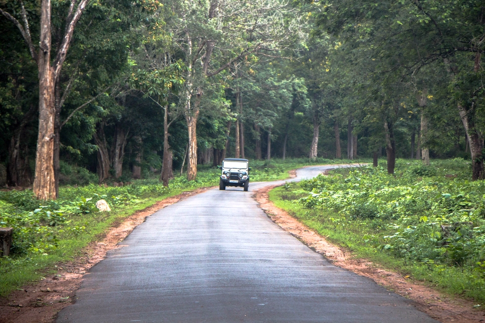 Nagarhole National Park