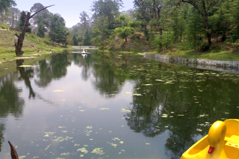 Rani Jheel, Ranikhet