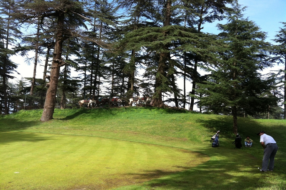 Shimla hilltop