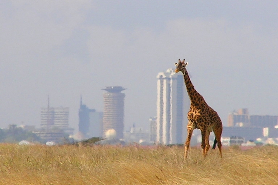 Skyline Nairobi Park